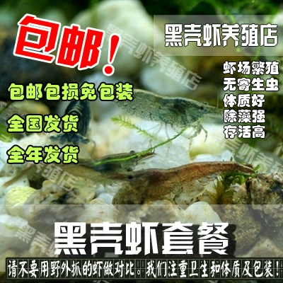 Черно -шиллинговые креветки Синьцзян Бесплатная доставка водорослей креветки черная оболочка.