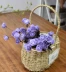 Wicker chậu hoa bình hoa mây hoa cổ điển vườn hoa chậu hoa xô giỏ hoa trồng trong chậu inserter chậu nhựa trắng Vase / Bồn hoa & Kệ