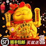 Золотой электрический коктейль кошачья кошка качание крупно