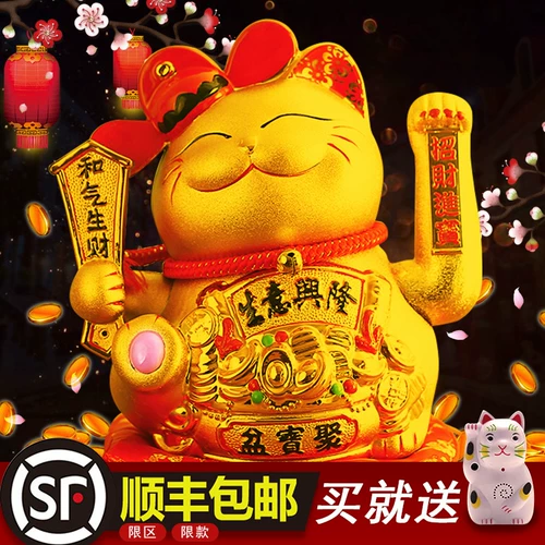 Золотой электрический коктейль кошачья кошка качание крупно