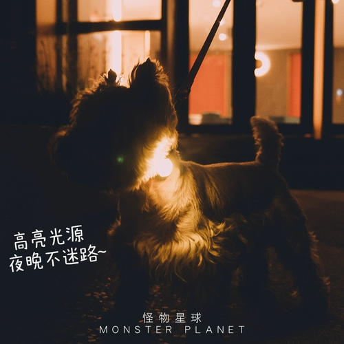 Ночь Laroo Laeno's Walking Dog Light -подвеска с легким пикапом собаки