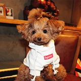 Домашняя кошка одежда одежда Тедди бин бин бин бен Бен Берсерури Шеронори одежда Весна и лето -двухдушное свитер