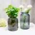 Bình thủy tinh đựng dụng cụ thủy tinh kiểu IKEA * bình hình chữ nhật song song * bình thủy canh - Vase / Bồn hoa & Kệ Vase / Bồn hoa & Kệ
