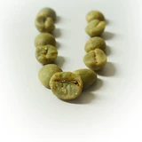 Green San Brazil's Herrado Coffee Raw Bean