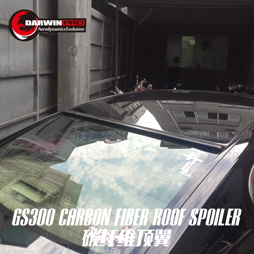 Darwinpro Lexus GS300 GS350 Modified Осадный осад