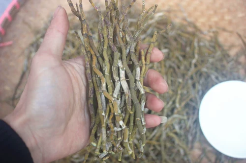 Leqing Authentic Dendrobium candidum Injece Gold Bars Золотая полоса Железная, железная клена борьба с бас -хлебью Прямые продажи бесплатно шлифовальный порошок