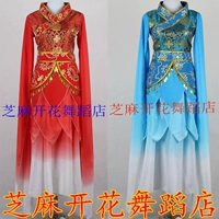Джингхонг танцевальная одежда и телевизионный костюм Zhen Huan Chuan Dance Practice Practic