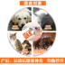 Red dog dinh dưỡng kem cat dog với mang thai puppies Golden Retriever dinh dưỡng vitamin và phân bón miễn dịch sản phẩm sức khỏe Sữa dành cho mèo con mới đẻ Cat / Dog Health bổ sung