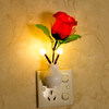Fantasy Rose ◆ It is not on during the day, turning off the light at night