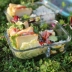 Ba phần hộp thủy tinh chịu nhiệt đặt lò vi sóng hộp ăn trưa tủ lạnh trái cây hộp kín lò thực phẩm - Hộp cơm điện sưởi ấm Hộp cơm điện sưởi ấm