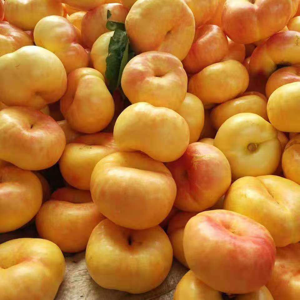 脆甜黄金油蟠桃5斤
