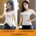 Mùa hè vòng cổ ngắn tay áo thun nữ mỏng bất thường Hàn Quốc phiên bản của kích thước lớn là mỏng chia ngã ba hai tay áo đáy áo măng tô nữ Cộng với kích thước quần áo