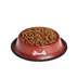 Haojue thức ăn cho chó 10 kg Teddy VIP con chó nhỏ dành cho người lớn thức ăn cho chó cân bằng dinh dưỡng dog thức ăn chính 28 tỉnh