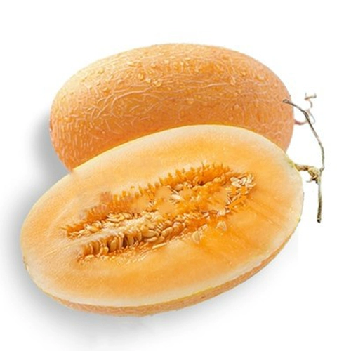 Синьцзян Кантелупа семян семян семян семян семян и дынями супер сладкий весенний сезон