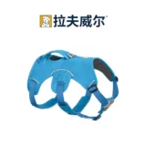 Rafewell Wang Dog's Dog's Beta Beta RW Dog Bare сообщил о Тедди Golden Shiba Inu La Dardy Teddy Products