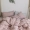 Hoa Big Brother 32 Morandi Màu Bông Giặt Bông bốn mảnh Tấm màu tinh khiết Đơn giản Ins Wind Bộ đồ giường trần truồng - Bộ đồ giường bốn mảnh