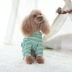 Quần cotton bốn chân cún con chó quần áo mùa xuân và mùa hè quần áo thú cưng quần áo mùa thu Teddy quần áo mùa xuân hơn gấu - Quần áo & phụ kiện thú cưng