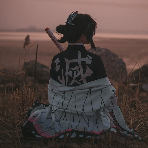 Призрак уничтожить лезвие cos одежда бабочка ниндзя косплей одежда для насекомых перьев и двухмерное полное полное набор пятна