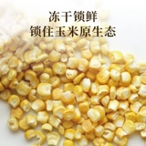 Предварительная фаза вкуса не повреждена замороженная сухость кукурузного зерна (любовь к маленькому толстому другу) 25G