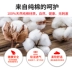 Chiếc mền được làm từ chất liệu cotton nguyên chất, kích thước bất kỳ một mét và năm chiếc được đặt để tạo ra một miếng mền bông 1.5x2.1. - Quilt Covers