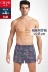 Shile Pingjiao quần lót nam cotton rộng Quần Arro mùa hè quần thoáng khí cỡ lớn bốn góc quần short nam quần mỏng Nam giới