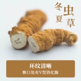 Yiyi yinyi tibetan naqu cordy cordycene a model a, cordyceps cordyceps snake питательный суп суп 10 чай 10 5g
