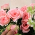 Trang trí tường giả hoa mây treo tường mô phỏng hoa hồng trong nhà phòng khách treo tường treo hoa lan treo giỏ hoa treo - Hoa nhân tạo / Cây / Trái cây Hoa nhân tạo / Cây / Trái cây
