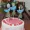 Mới net đỏ trang trí phụ kiện trang trí bánh sinh nhật plug-in West point trang trí bánh sinh nhật thiệp chúc mừng - Trang trí nội thất