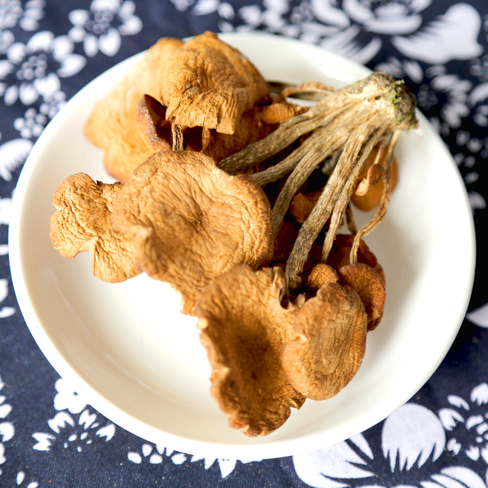 四川平武羌家青杠菌青冈菌平武特产羌家山珍精选干货100克/袋