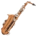 Nhạc cụ phương Tây màu nâu mờ nút mạ niken alto saxophone Kiểm tra hiệu suất E-dành cho người lớn FAS-861