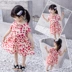 Váy bé gái hè 2019 phiên bản Hàn Quốc mới của bé gái 3 tuổi Váy công chúa trẻ em váy cotton mùa hè - Váy Váy