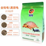 Pinja Turtle Grain Glood Turtl