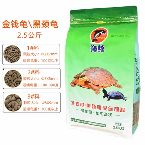 Pinja Turtle Grain Glood Turtl