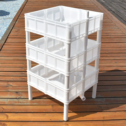 Много -слоя черепаха Фрай коробка с тремя измерениями черепахой коробки камня каменная черепаха Фрай коробки с питанием