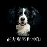 Polaroid, квадратная фотография, биде, цифровой мобильный телефон, постер