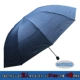 Двойная клетчатая зонтика-24 Blue Fine Grid