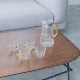 Xihua lold bottle +4 ремень чашки Tinhua