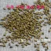 5 kg vận chuyển cassia hạt giống số lượng lớn cassia chơi cát nhỏ sức khỏe cassia gối gối y học gối gối nguyên liệu