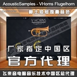 Подлинный acousticsamples vhorns flugelhorn sir sily solo solo solo solo salctint