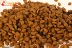 5 kg vận chuyển Bắc Âu tự nhiên thức ăn cho chó hạt tự nhiên người lớn nhỏ thức ăn cho chó số lượng lớn bán 500 gam