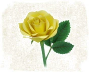 Full 68 Pháo hoa ngày lễ Hoa hồng vàng 3D Hướng dẫn sử dụng giấy Mô hình giấy DIY Mô tả giấy