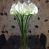 PU lớn tay-cảm giác mô phỏng calla Lily silicone calla Lily bảng hiển thị hoa hoa giả trang trí đồ trang trí Bắc Âu đám cưới hoa lan giả giả hạc asa Cây hoa trang trí