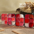 Chính hãng Sty Tinh Thể Sáng Bóng Môi Đông Lạnh 15 gam 6 Màu Lip Gloss Lip Gloss Pan Khỏa Thân Giữ Ẩm Son Môi Khuyến Mãi 	son bóng romand 04 Son bóng / Liquid Rouge