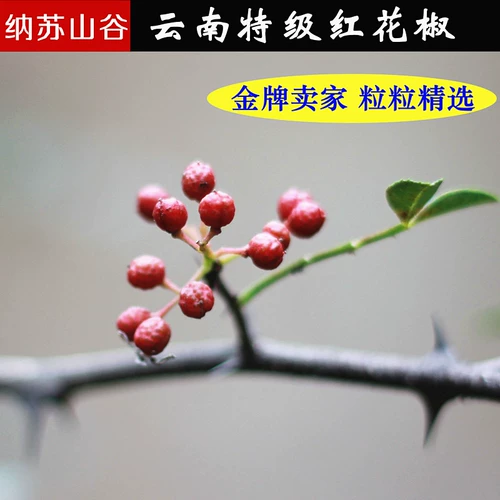 Yunnan Red Pepper 100G Большой красный халат сушеный перец перец перец перец приправы 3 части бесплатной доставки