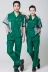 Trang phục áo mùa hè xanh lá cây phù hợp với nam giới và phụ nữ quần áo ngắn tay làm sạch yếm 243