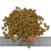 100 đô Canada miễn phí! Hạt miễn phí không hạt vào thức ăn cho mèo số lượng lớn 500g royal canin cho mèo con Gói Singular