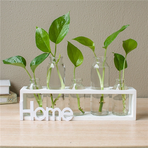 Креативное прозрачное глянцевое свежее украшение для гостиной, настольная лампа для растений