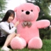 Teddy bear plush vải con búp bê đồ chơi búp bê búp bê món quà sinh nhật cô gái ot