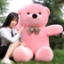 Teddy bear plush vải con búp bê đồ chơi búp bê búp bê món quà sinh nhật cô gái ot đồ chơi cho bé 1 tuổi Đồ chơi mềm