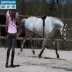 Đào tạo ngựa cinch thực hành cinch phù hợp với một loạt các reins cưỡi ngựa thể thao fouganza yên ngựa minecraft Môn thể thao cưỡi ngựa